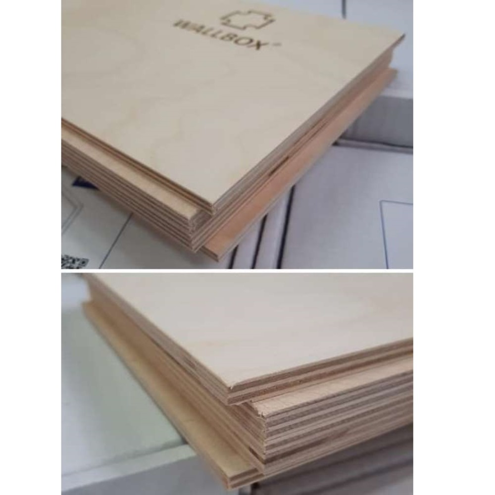 Монтажная пластина Wallbox большая для скрытых и внешних фитингов WB 90580 2 Монтажная пластина Wallbox большая для скрытых и внешних фитингов WB 90580 — изображение 2